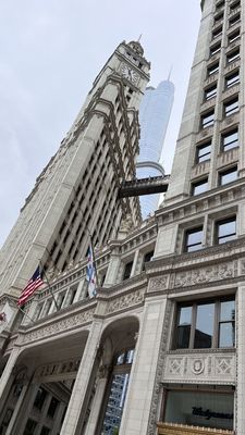 The Wrigley Building by null
