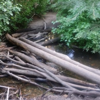 Hunter Creek Waterfall Trail - You must cross over the creek on a trunk :) - Hiking Near Me Hunter Creek Waterfall Trail - You must cross over the creek on a trunk :) - Hiking Near Me
