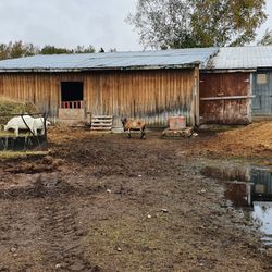 Ferme 5 Étoiles