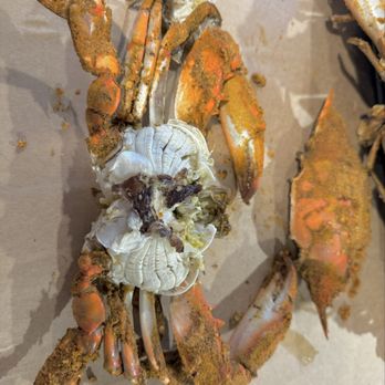 Skipjack’s Crab Deck - Seafood Near Me - Middle River, Maryland Skipjack’s Crab Deck - Seafood Near Me - Middle River, Maryland