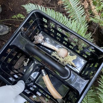 Forage Seattle - Food Tours Near Me