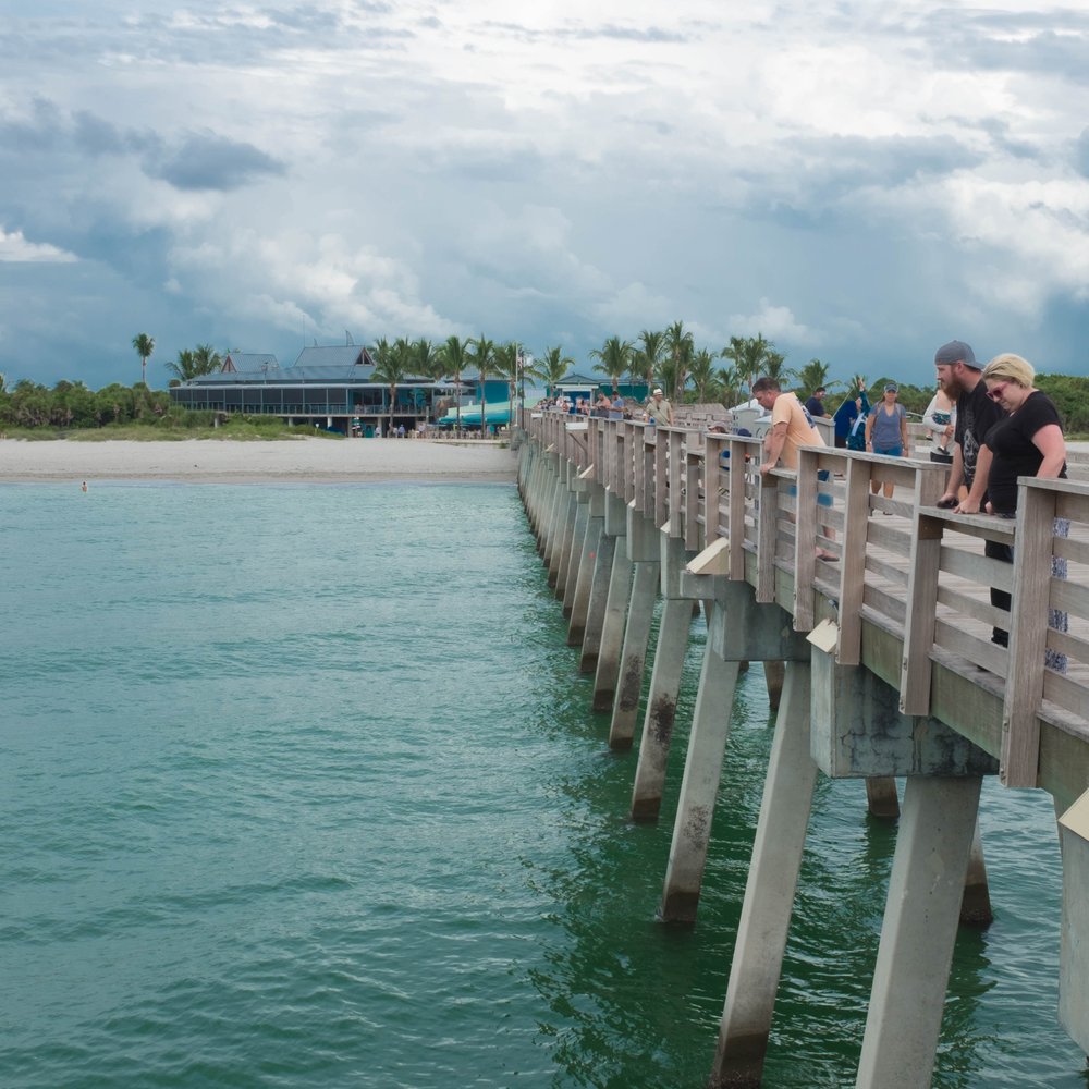 Fins At Sharky's - A view of Fins at Sharky's from the water - Steakhouses Near Me - Venice, Florida Fins At Sharky's - A view of Fins at Sharky's from the water - Steakhouses Near Me - Venice, Florida