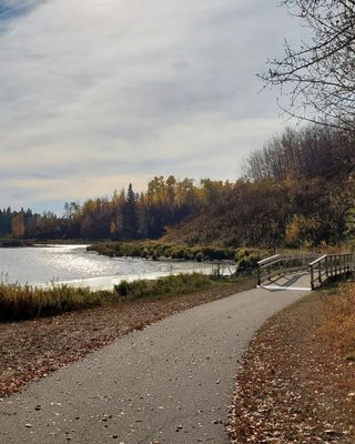 Elk Island National Park by null