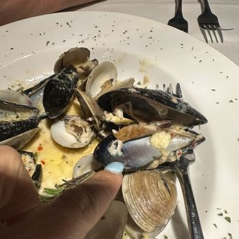 El Pama Tavern - "Mussels" - Steakhouses Near Me - Fort Lauderdale, Florida El Pama Tavern - "Mussels" - Steakhouses Near Me - Fort Lauderdale, Florida