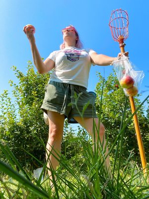 Keller’s Farmstand by null