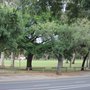 Photo of Kensington Gardens Reserve