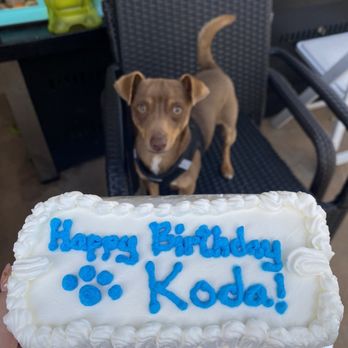 Redondo Dog - Pet Services Near Me - Carson, California Redondo Dog - Pet Services Near Me - Carson, California