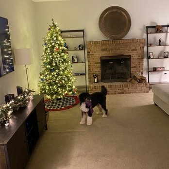 DB Genesis Hardwood Flooring - Flooring Near Me - Kensington, Maryland