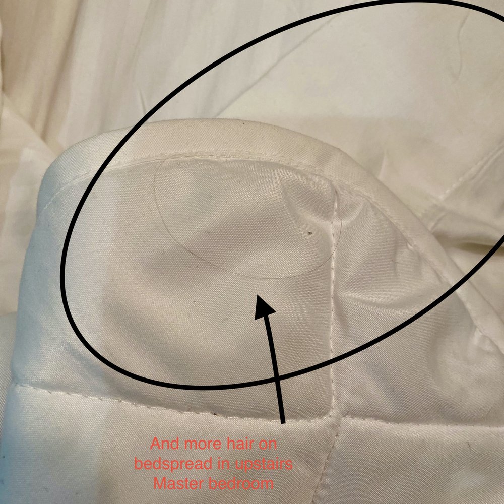 RealJoy Vacations - Hair on sheets and bedspreads. - Vacation Rentals Near Me - Destin, Florida RealJoy Vacations - Hair on sheets and bedspreads. - Vacation Rentals Near Me - Destin, Florida