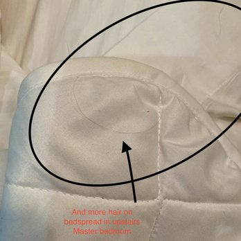 RealJoy Vacations - Hair on sheets and bedspreads. - Vacation Rentals Near Me - Destin, Florida RealJoy Vacations - Hair on sheets and bedspreads. - Vacation Rentals Near Me - Destin, Florida