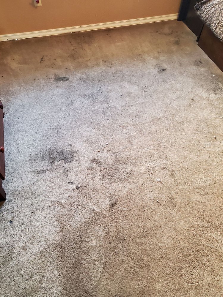 XTREME CARPET AND FLOOR CARE Updated October 2024 41 Photos & 16