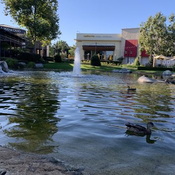 Elite Experience: Sunlife Organics - Beautiful location! - Yelp Events Near Me - Thousand Oaks, California