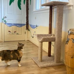 Kitty Island - Cruising Kitty Island