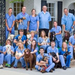 Stanton Animal Hospital - Stanton Animal Hospital Drs and Staff 2014
