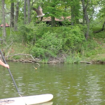 Surfsup Adventures - Duck! It's a goose! - Rafting/Kayaking Near Me Surfsup Adventures - Duck! It's a goose! - Rafting/Kayaking Near Me