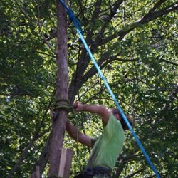 Andrews Roofing & Tree Service