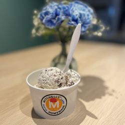 Mitchell's Homemade Ice Cream - Beachwood - Coconut Chocolate