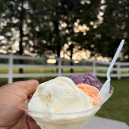 Homemade Ice Creams
