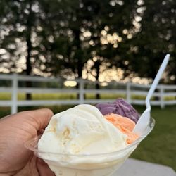 Crescent Ridge Dairy - Ginger, orange pineapple and Black Raspberry Ice Cream