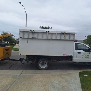 Ortega Tree Service - ORETGA JR TREE SERVICE   IS UNPREDICTABLE  AND LACK OF COMMUNICATION WITH EZRA AND VERY condescending. - Tree Services Near Me