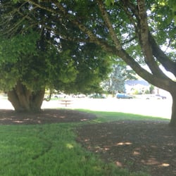 Woodruff Park - Beautiful shade trees.