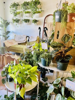 The Botanical Bar by null