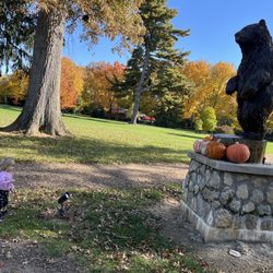 Meeting Rudy the bear
