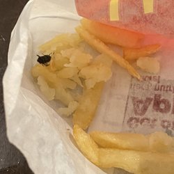 McDonald's - Dead A$$ Fly