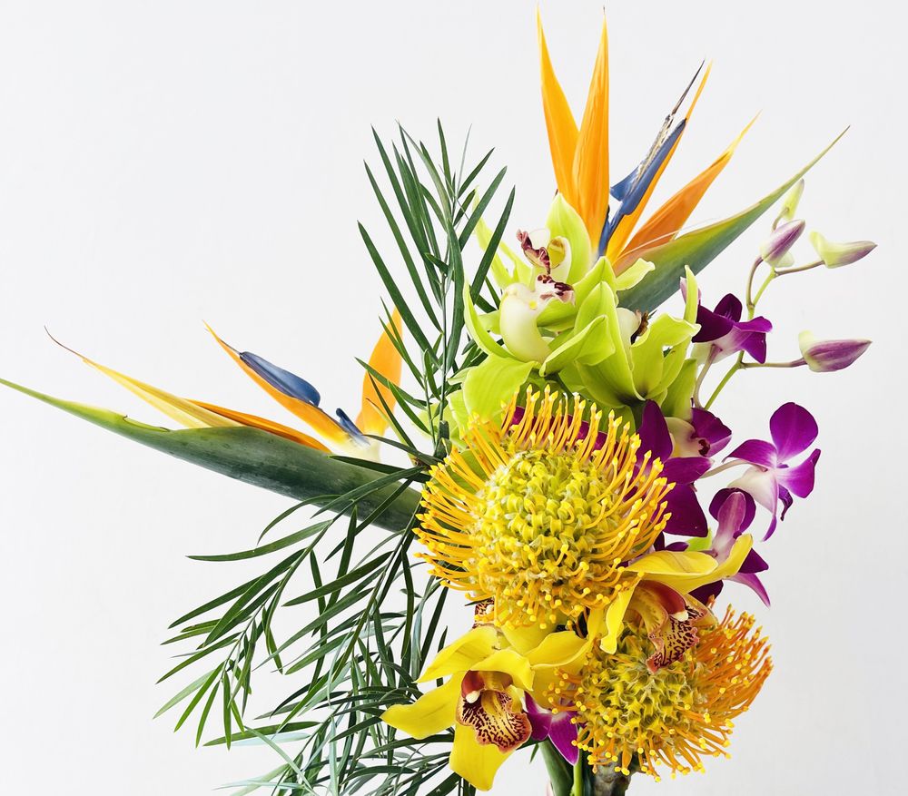 MARCO ISLAND FLORIST HOME & GIFTS Updated October 2024 351 Photos