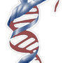 Photo of Paternity-USA.