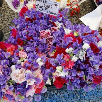 Everett Farmers Market - Flowers - Farmers Market Near Me - Everett, Washington