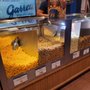 Photo of Garrett Popcorn Shops