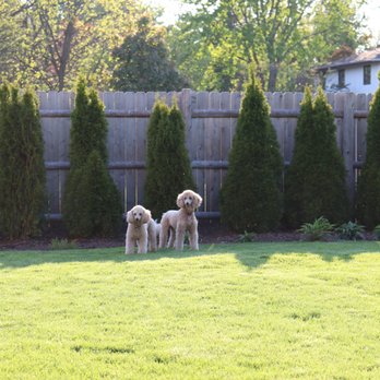 Mary's Pooch Pad - Pet Groomers Near Me - Newark, Illinois Mary's Pooch Pad - Pet Groomers Near Me - Newark, Illinois