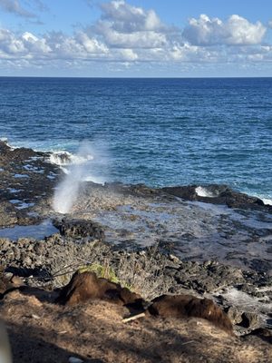 Spouting Horn by null