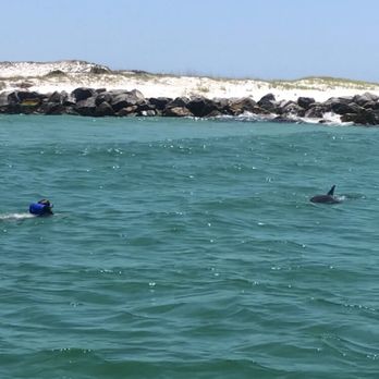 Flippers Dolphin Tours - Jet Skis Near Me - Panama City, Florida