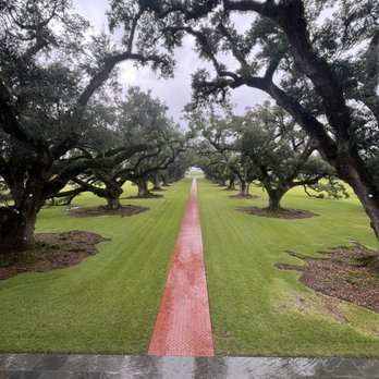 Gray Line New Orleans - Tours Near Me - New Orleans, Louisiana Gray Line New Orleans - Tours Near Me - New Orleans, Louisiana