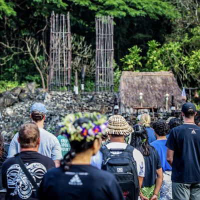 Waimea Valley by null