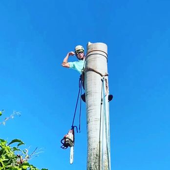 ECO Tree Experts - 833-321-TREE - Tree Services Near Me - West Palm Beach, Florida ECO Tree Experts - 833-321-TREE - Tree Services Near Me - West Palm Beach, Florida