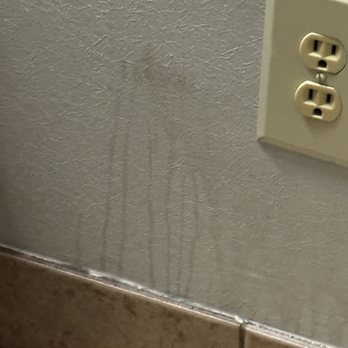 Wingate by Wyndham Mount Vernon - Urine stain. Room was "pet friendly" but still should have been cleaned. - Hotels Near Me - Mount Vernon, Washington Wingate by Wyndham Mount Vernon - Urine stain. Room was "pet friendly" but still should have been cleaned. - Hotels Near Me - Mount Vernon, Washington