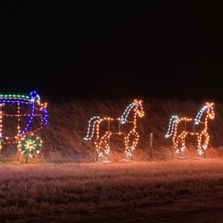 Zoo Lights