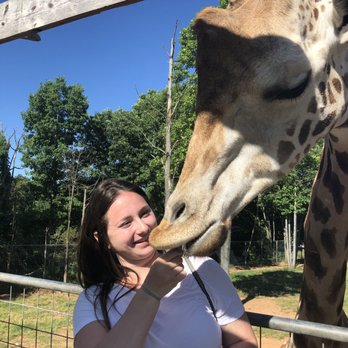 Zootastic Park - Feeding a giraffe - Zoos Near Me - Troutman, North Carolina Zootastic Park - Feeding a giraffe - Zoos Near Me - Troutman, North Carolina