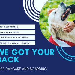 banfield pet hospital millerville