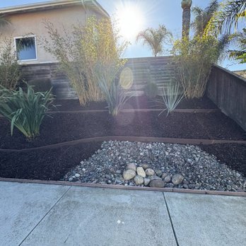 Goldenstate Treescape - Brown mulch with bender board on slope. - Landscaping Near Me