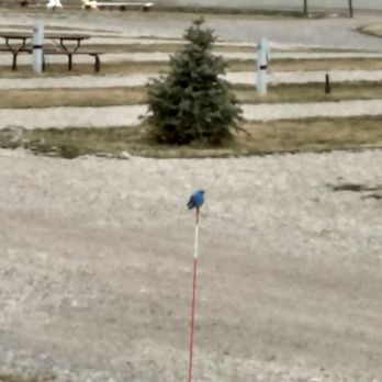 Fairmont RV Park - Fairmont RV resort, bluebird. - RV Parks Near Me - Anaconda, Montana