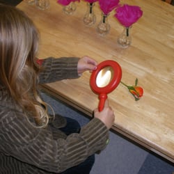 Carmel Valley Montessori School - Life Science