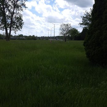 Burr Oak Cemetery - Ridiculous high grass in this cemetery! - Funeral Services & Cemeteries Near Me - Alsip, Illinois