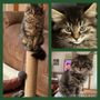 Alfred-Waterboro Veterinary Hospital