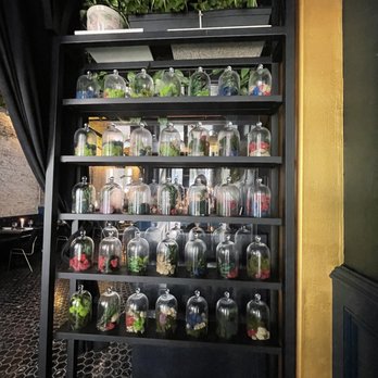 The Botanist Social - Cocktail Bars Near Me - Madison, Wisconsin