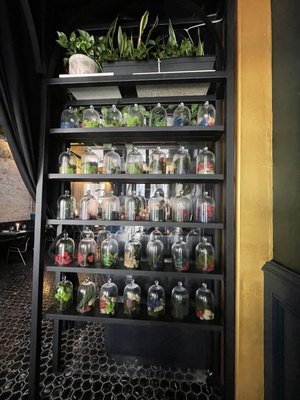 The Botanist Social by null