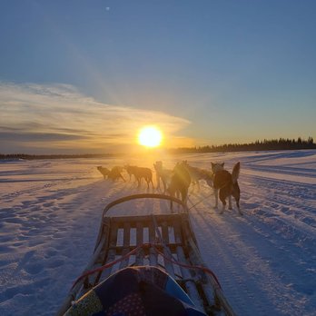 Trail Breaker Kennel - Sledding Near Me - Fairbanks, Alaska Trail Breaker Kennel - Sledding Near Me - Fairbanks, Alaska